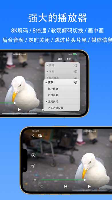 SenPlayer 巨魔版截图